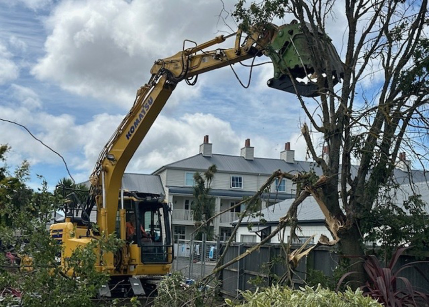 tree removal demolition services by Mane Contracting